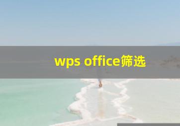 wps office筛选